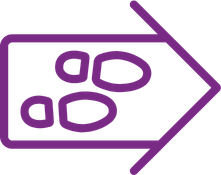 Leave with next steps